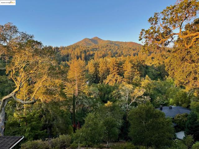 Details for 10 Ridgewood Rd, Kentfield, CA 94904