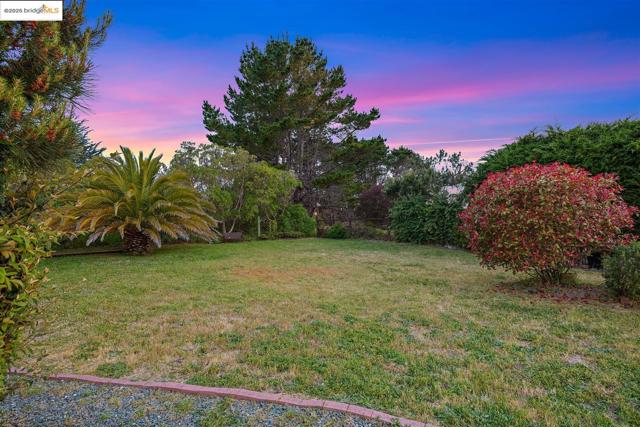 1400 Audubon AVE, Montara CA: https://media.crmls.org/mediaz/25351faf-3d98-4db9-af7d-0a49d084f293.jpg