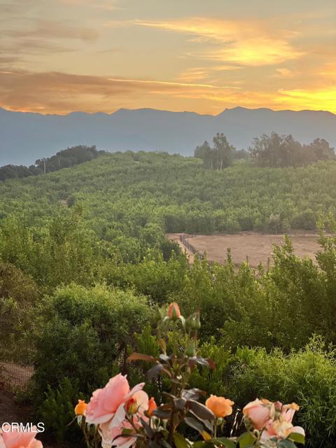 1920 Tiara Drive, Ojai CA: https://media.crmls.org/mediaz/253f1fd1-4de9-4790-b54d-ed3d171186f7.jpg
