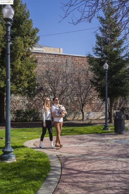 Image 13 of 15 For 500 Somi Ct.  307