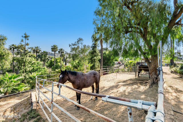 11270 Dominica Avenue, Lakeview Terrace CA: https://media.crmls.org/mediaz/2545fb51-cb53-4ad6-9184-34533ba04a38.jpg