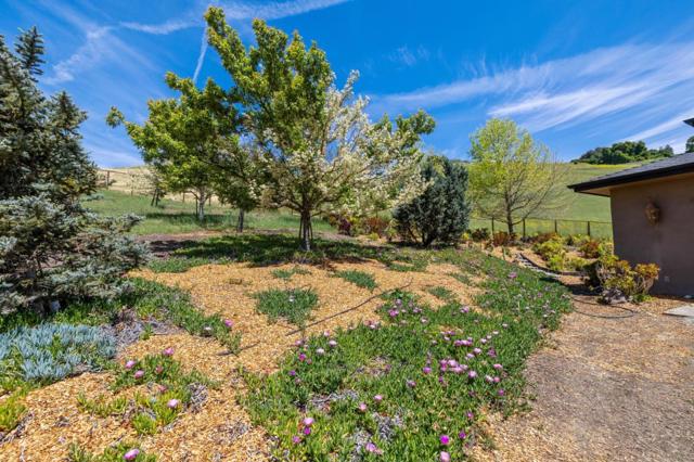 9540 Via Del Oro, Gilroy CA: https://media.crmls.org/mediaz/254eaefa-0e08-4959-acb7-e65bd366a66a.jpg
