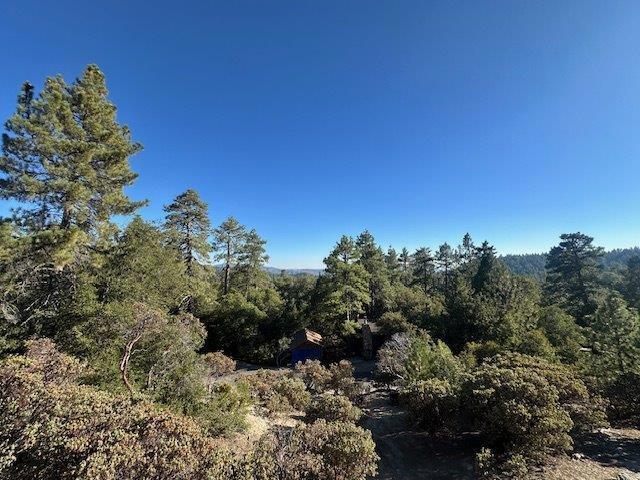 0 Howland Road, Idyllwild CA: https://media.crmls.org/mediaz/2554cb62-5ff5-48de-ba07-06bcf505791c.jpg