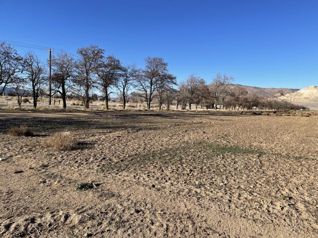 20028 Tehachapi Willow Springs Road, Tehachapi CA: https://media.crmls.org/mediaz/2554cbba-19f4-4c19-9b4b-26e25ca6a19b.jpg