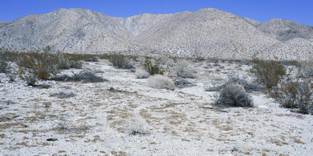 1 Camino Zangiri, Desert Hot Springs CA: https://media.crmls.org/mediaz/255d456d-018a-4bc4-83e7-f9e0f334c3ce.jpg