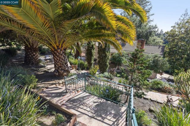 40 Las Palomas, Orinda CA: https://media.crmls.org/mediaz/2565bda9-2ab7-4f9e-a712-ae1a848295a9.jpg