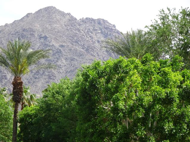 50740 Santa Rosa Plaza, La Quinta CA: https://media.crmls.org/mediaz/25661675-6ffc-427e-a191-5c56db288e0b.jpg
