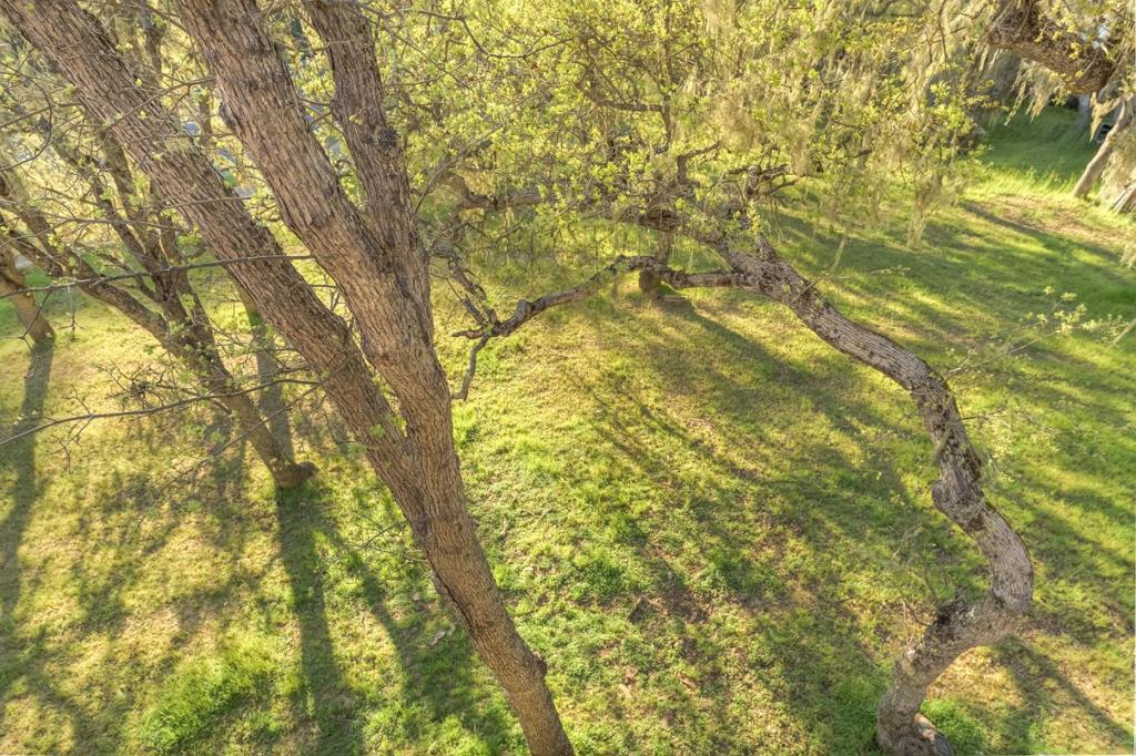 https://media.crmls.org/mediaz/2568b7a3-0c61-42d6-9482-ce85c868782e.jpg?preset=X-Large