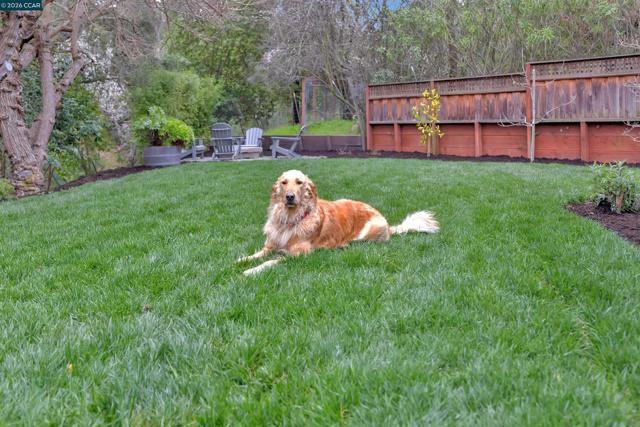 Image 38 of 46 For 393 Colorados Ct