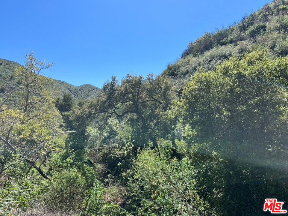 MLS #25526877 img 14