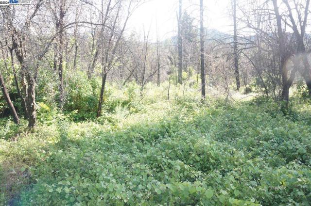 101 River Acres, Junction City CA: https://media.crmls.org/mediaz/2574042b-3bad-4b75-ad58-487a419c35b6.jpg