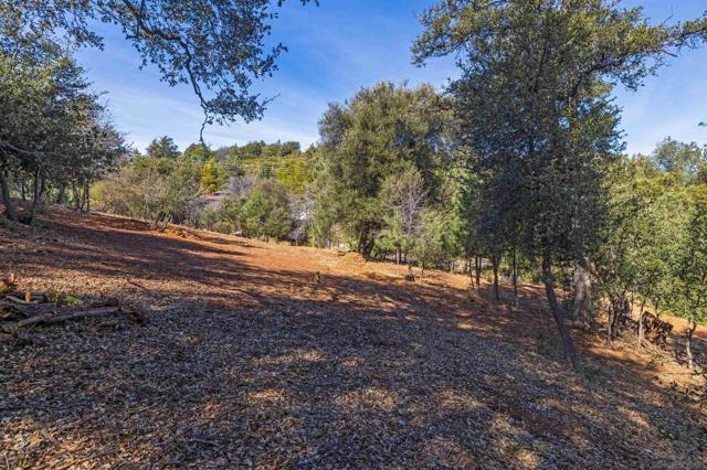 0 Frisius Dr, Julian CA: https://media.crmls.org/mediaz/25771798-a39b-439c-a1c2-67316e6747fb.jpg