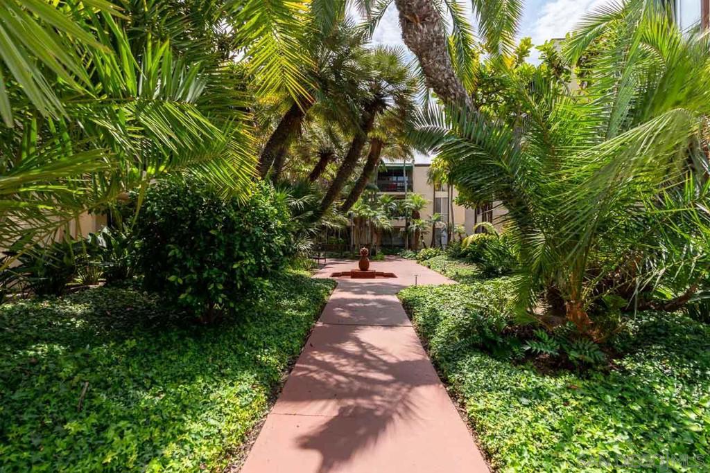 6333 La Jolla Blvd. - photo 14