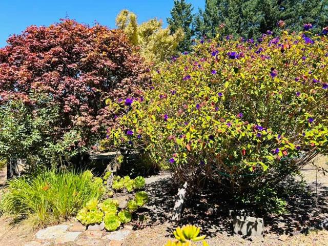 Image 9 of 24 For 520 Redwood Road