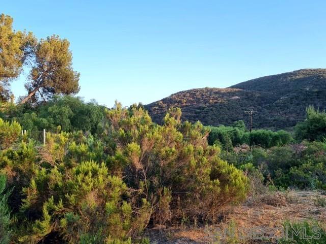 8209 Mesa, Santee CA: https://media.crmls.org/mediaz/257fdd28-c7f8-4b14-9c60-084a0ae5e9b5.jpg