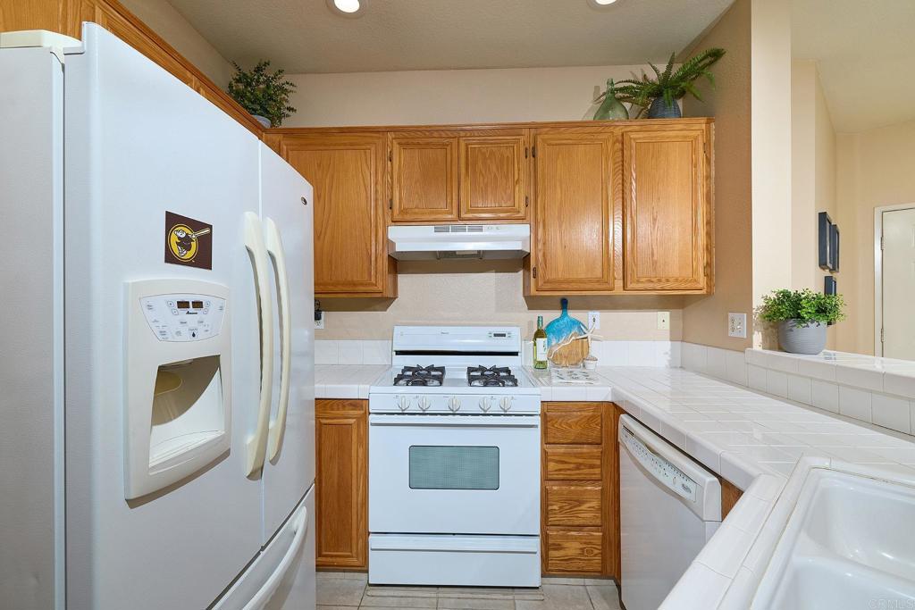 10929 Caminito Arcada - photo 11