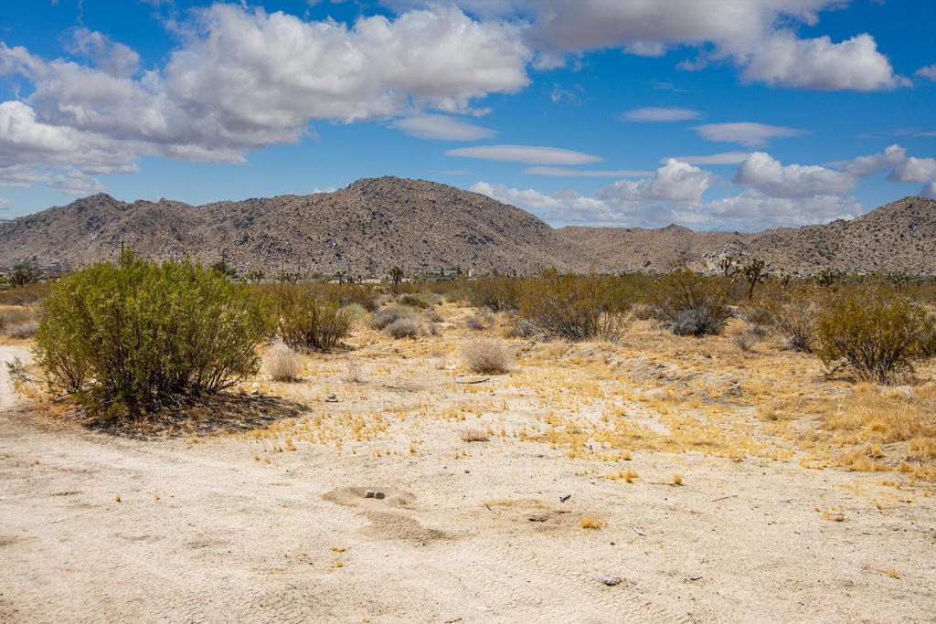 MLS #219137126PS image #28