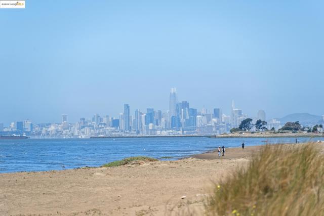 325 Kitty Hawk Rd, Alameda CA: https://media.crmls.org/mediaz/259e14d4-479c-4304-a7a1-120d7a0fea00.jpg
