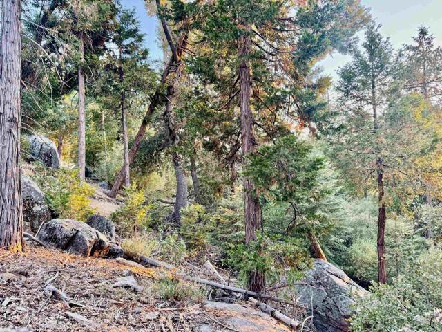 Detail Gallery Image 33 of 37 For 10 Acres Greenfield Way, Palomar Mountain,  CA 92060 - – Beds | – Baths