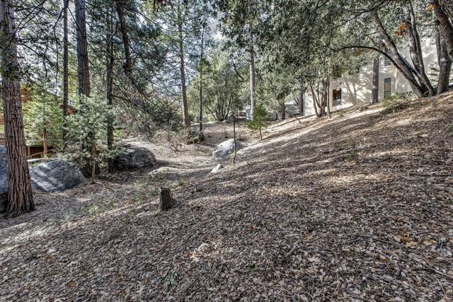 55283 Pine Crest, Idyllwild CA: https://media.crmls.org/mediaz/25aa1c68-0d78-4dd9-8a3d-713306465735.jpg