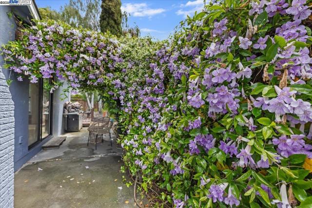 34264 Atteridge Pl, Fremont CA: https://media.crmls.org/mediaz/25b152cf-29d3-450f-99de-f4db39d169ab.jpg