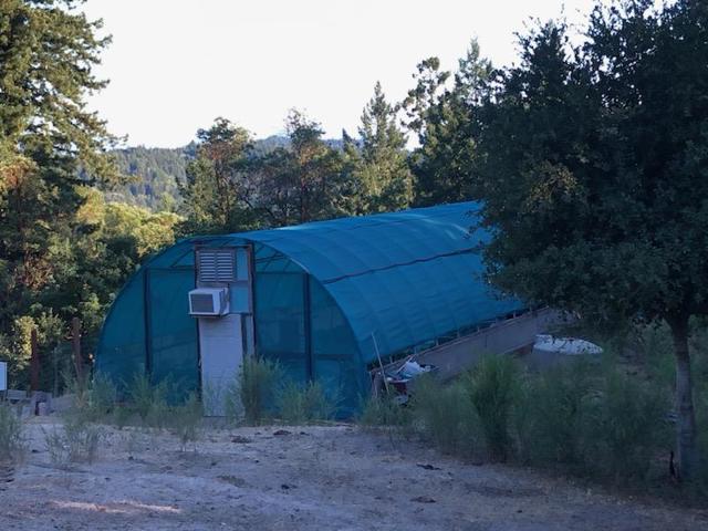 10200 West Drive, Felton CA: https://media.crmls.org/mediaz/25be4d5f-03a3-4fe5-a668-5fe737e8a528.jpg