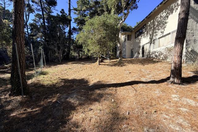 151 Shady Lane, Monterey CA: https://media.crmls.org/mediaz/25cff759-9cf8-4a61-b448-e58dd7626f0b.jpg