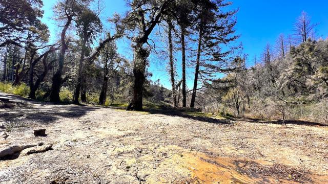 11035 Empire Grade, Santa Cruz CA: https://media.crmls.org/mediaz/25d26c55-7efb-4b44-a13a-83ae8e62fbf6.jpg