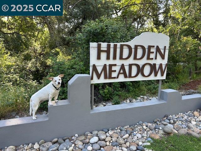 216 Castle Glen Rd, Walnut Creek CA: https://media.crmls.org/mediaz/25d8195b-7a61-4ef1-b8e6-fd05d563df05.jpg