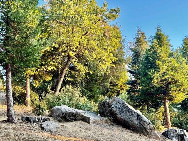 Detail Gallery Image 5 of 37 For 10 Acres Greenfield Way, Palomar Mountain,  CA 92060 - – Beds | – Baths