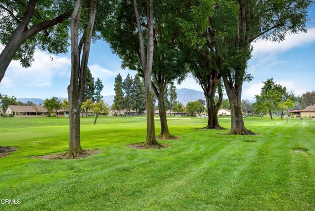 Detail Gallery Image 28 of 39 For 6315 Village 6, Camarillo,  CA 93012 - 2 Beds | 2 Baths