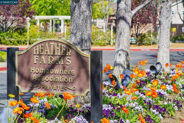 1560 Gilboa Dr, Walnut Creek CA: https://media.crmls.org/mediaz/25f6cbd7-c52c-4e6b-ab51-cd19053092b6.jpg