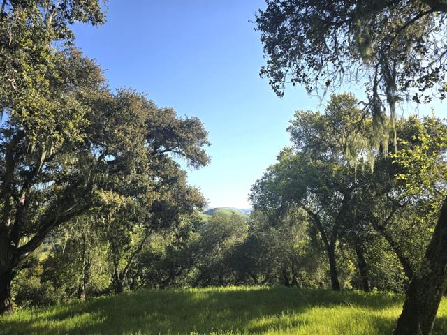 16 SLEEPY HOLLOW DRIVE, Carmel Valley CA: https://media.crmls.org/mediaz/25f83767-c7b4-4c56-b772-3671a543a1e8.jpg