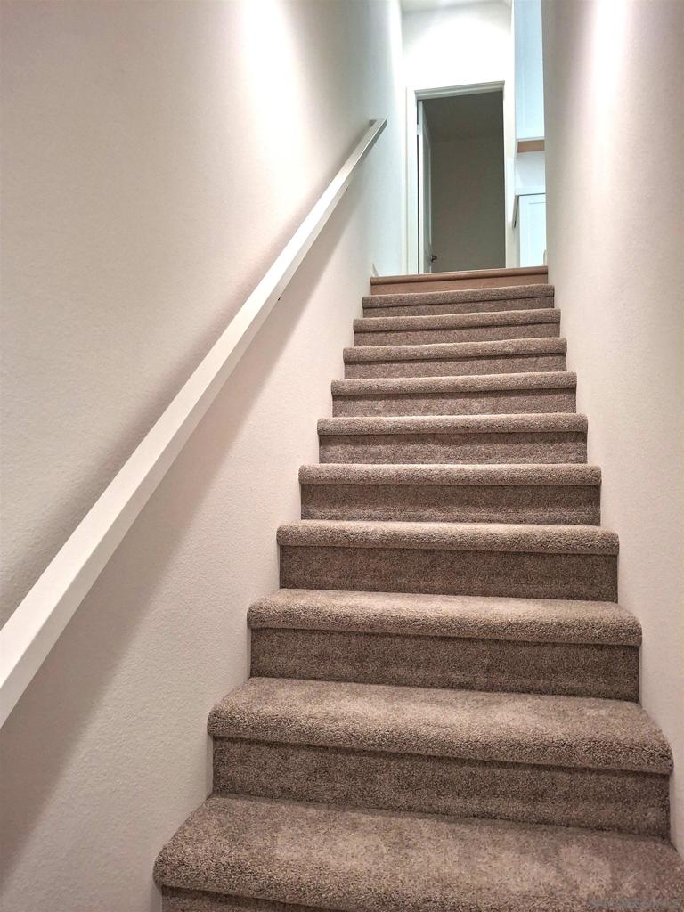 2586 Delphinium - photo 14