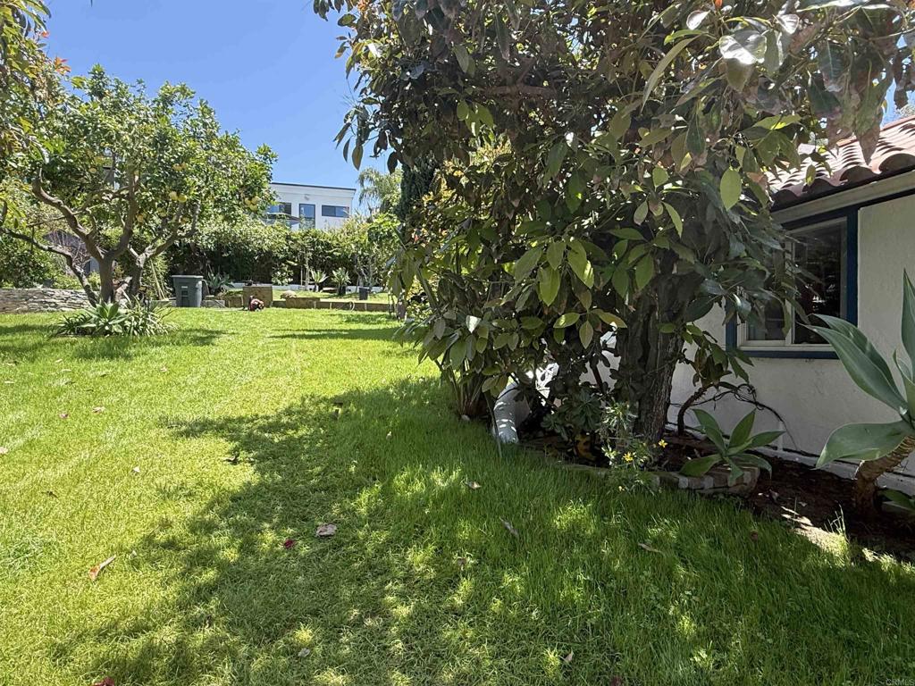 122 Rios - photo 11