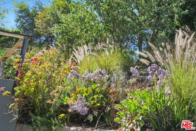 1527 Bainum Drive, Topanga CA: https://media.crmls.org/mediaz/260824d3-1f7b-421c-81e6-f976c49cd3bd.jpg