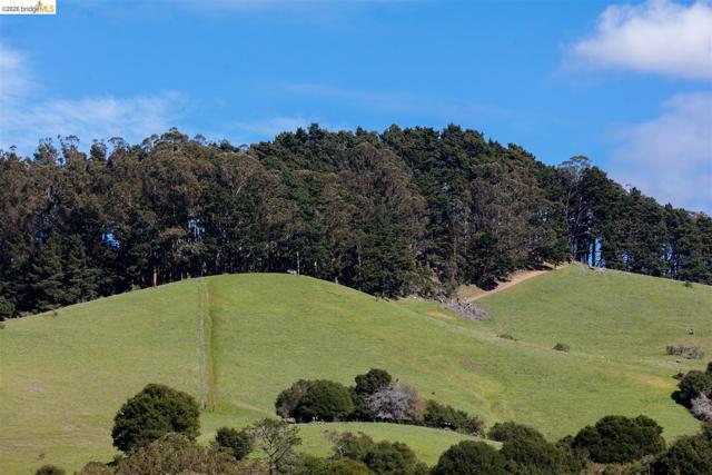 Image 13 of 60 For 6065 Dimm Way