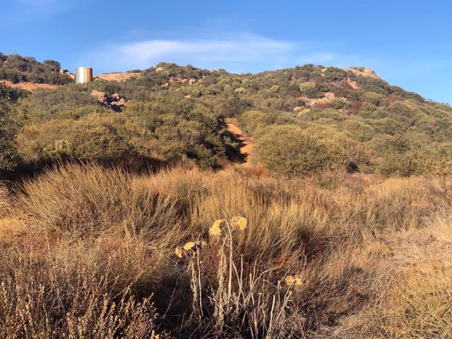 24352 Featherstone Canyon Rd, Lakeside CA: https://media.crmls.org/mediaz/261e95c4-a656-4bea-a225-230dee259e8a.jpg
