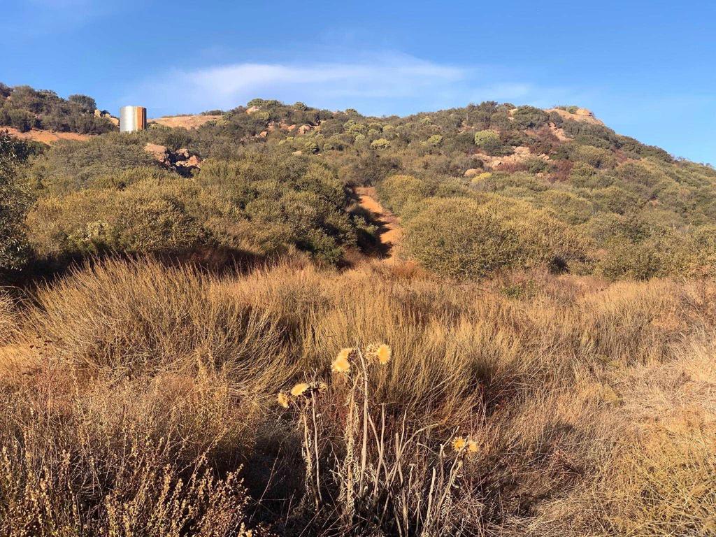 MLS #PTP2506313 image #25