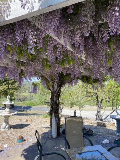 16690 Iron Springs Rd, Julian CA: https://media.crmls.org/mediaz/261e992f-fe53-4ed1-8215-f3727aa6b9b8.jpg
