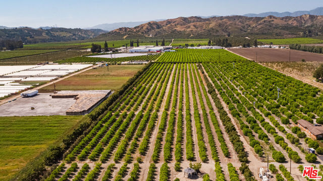 13721 W Telegraph Road, Santa Paula CA: https://media.crmls.org/mediaz/2628212a-694d-4aae-9b31-4a6ec40f511f.jpg