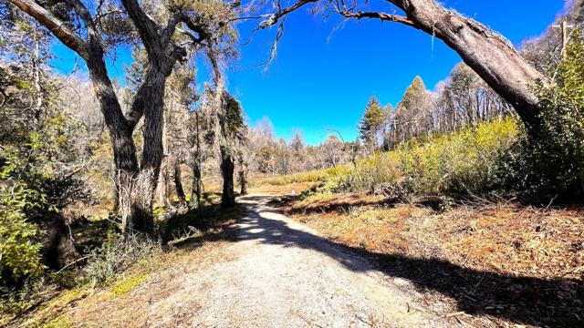 11035 Empire Grade, Santa Cruz CA: https://media.crmls.org/mediaz/2629a906-9a96-487b-9c99-6e2aa97ded58.jpg