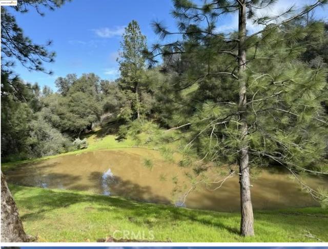 16551 Wards Ferry Rd, Sonora CA: https://media.crmls.org/mediaz/262eafc7-9dcd-46a5-9ee3-158551e032ec.jpg