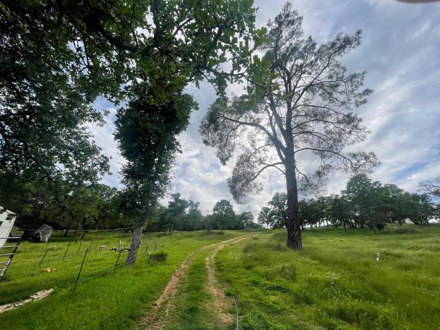 0 Avacado Road, Oroville CA: https://media.crmls.org/mediaz/2631040f-864c-471c-be5b-d51326669fb7.jpg