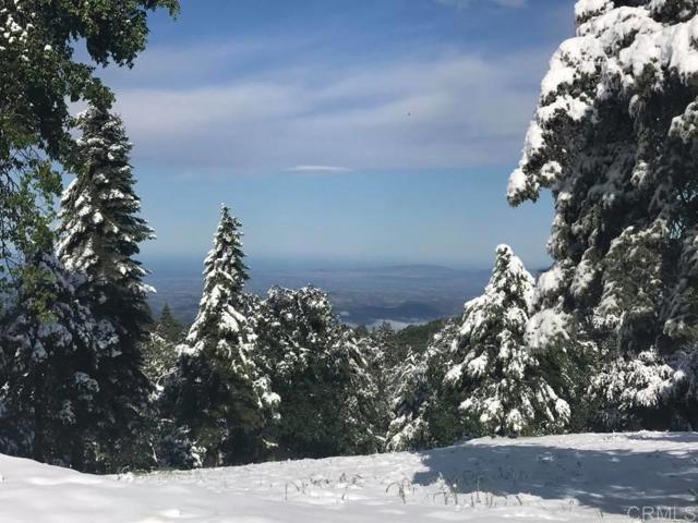 Detail Gallery Image 37 of 47 For 3413 Fern Meadow Rd, Palomar Mountain,  CA 92060 - 3 Beds | 3/1 Baths