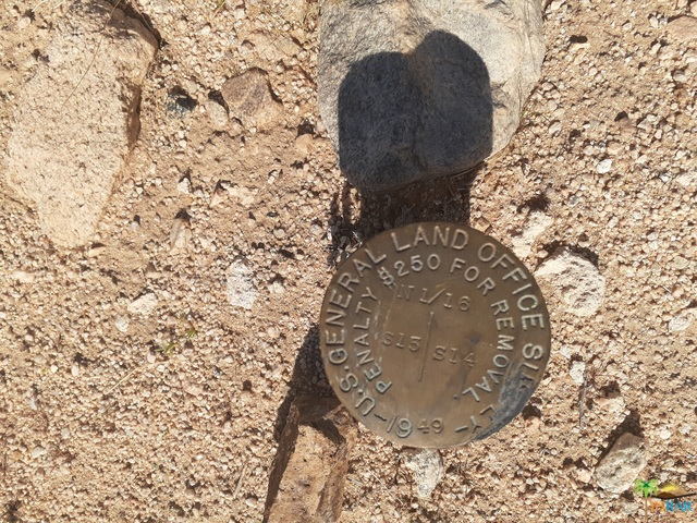 U.S. survey marker