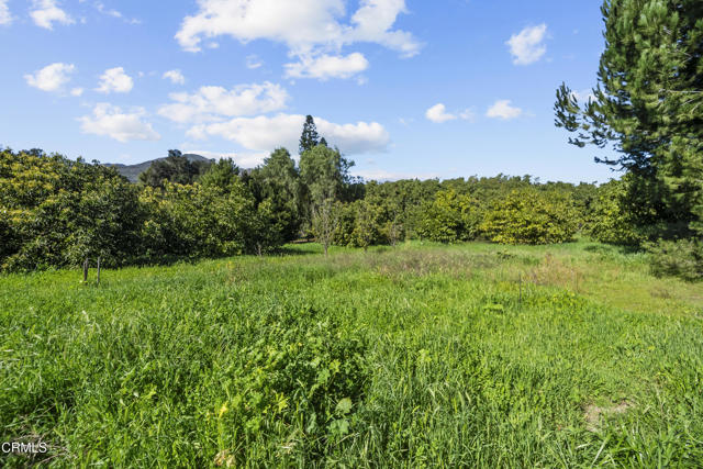 Detail Gallery Image 60 of 68 For 1325 Cliff Ave, Fillmore,  CA 93015 - 5 Beds | 3 Baths