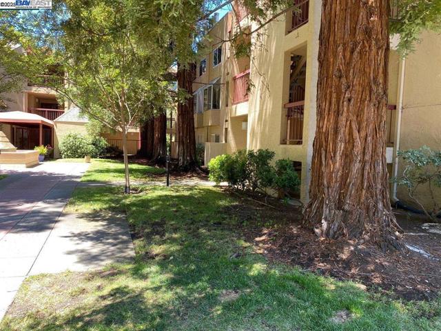 1310 Walden Rd, Walnut Creek CA: https://media.crmls.org/mediaz/264ce813-9779-4860-ac1b-d876f9743144.jpg