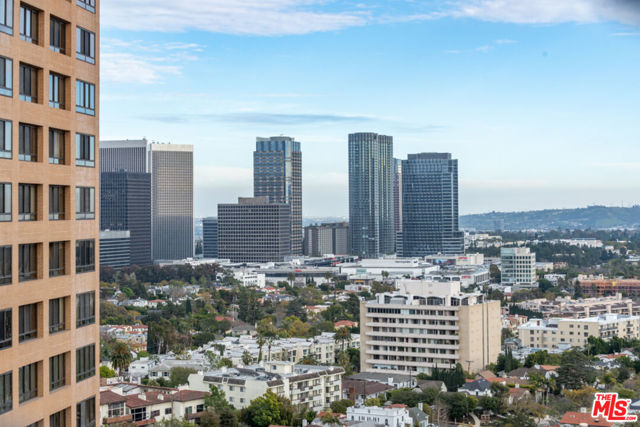 Century City Views from Primary