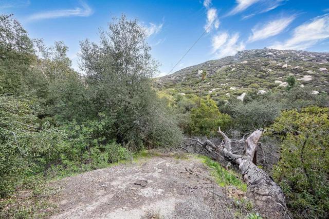 Image 2 of 24 For 11721 Wildcat Canyon Rd